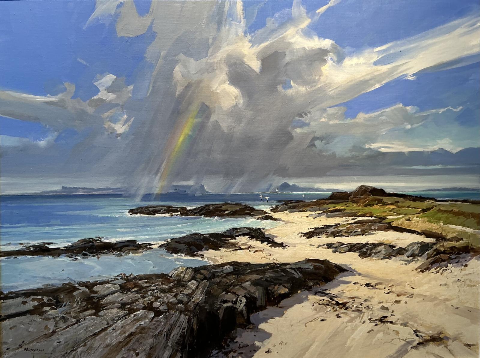 Gannets off Arisaig.