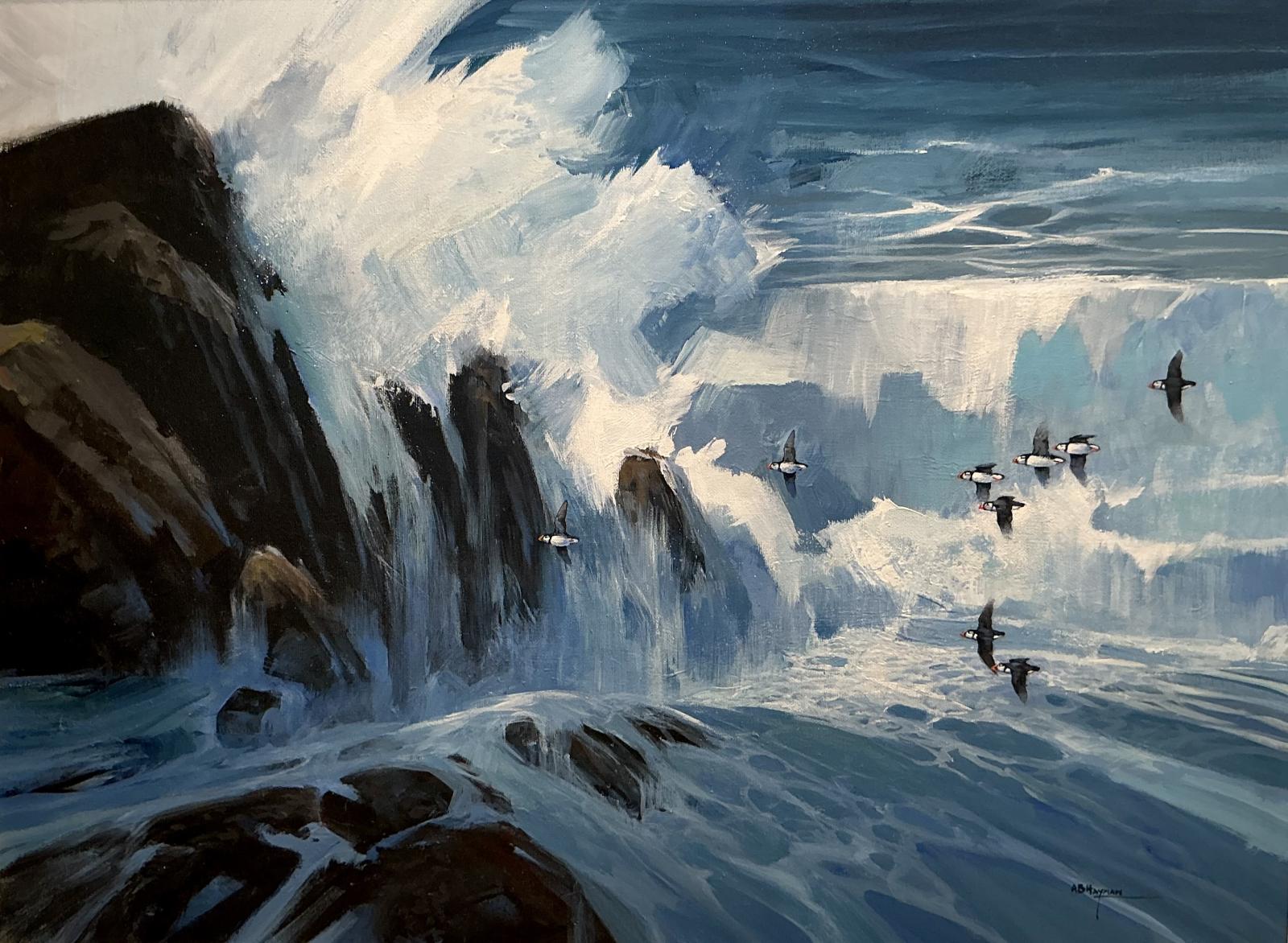 Puffins