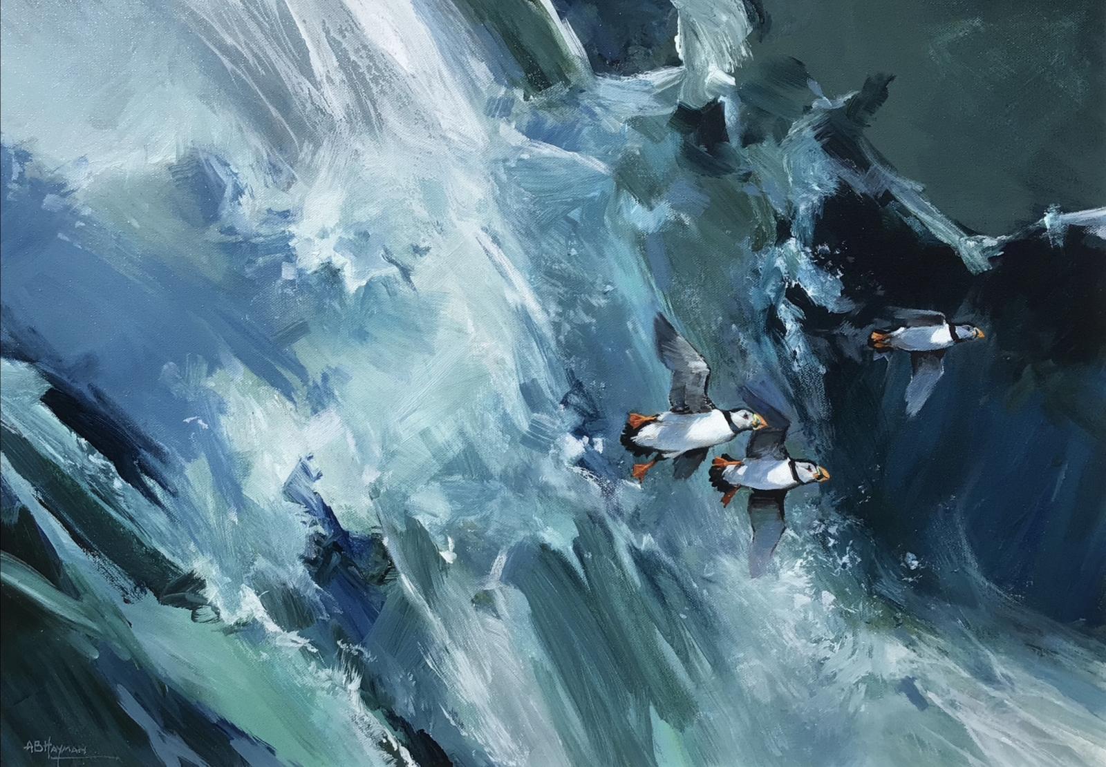 Puffins