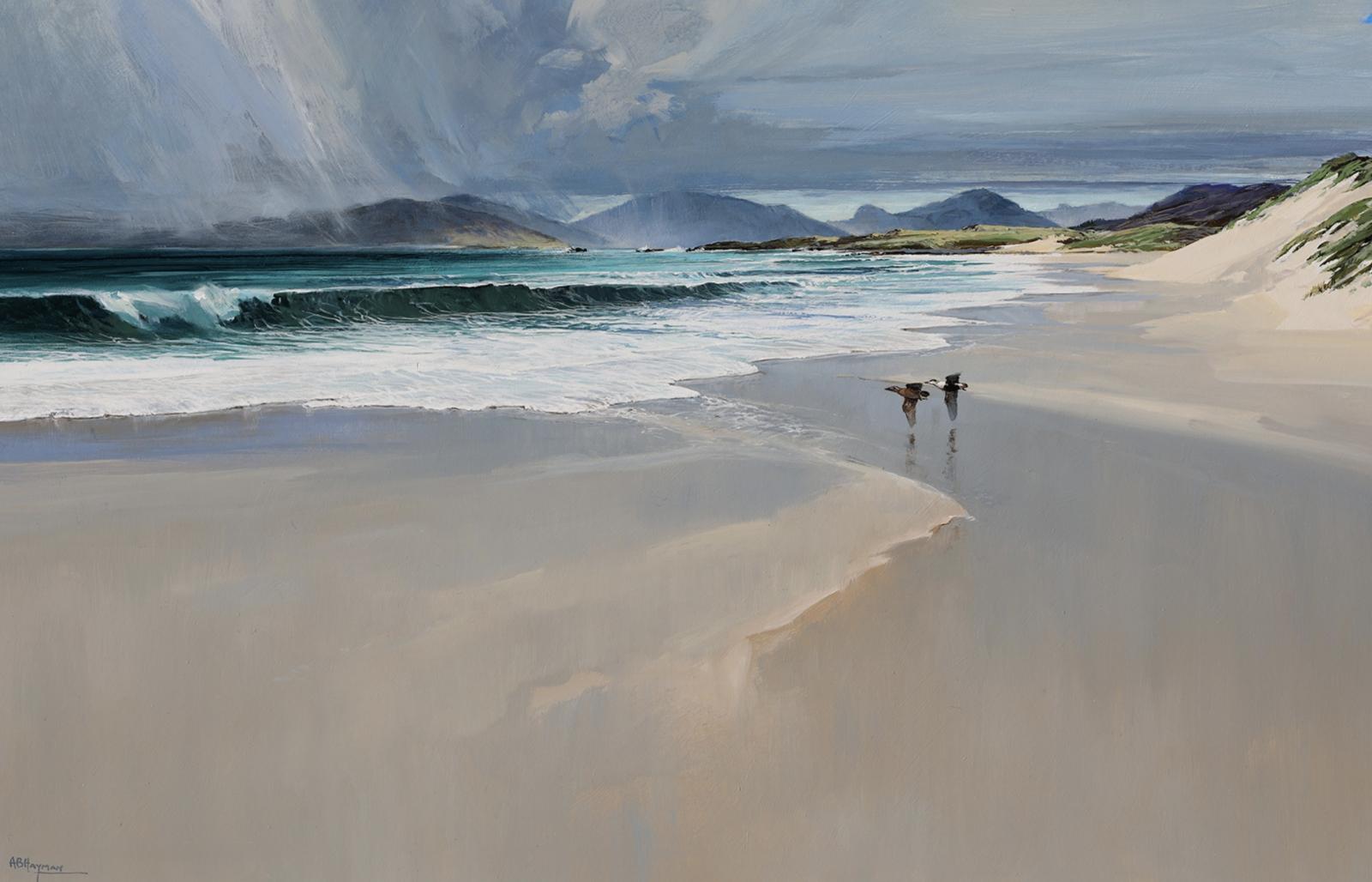Near Luskentyre, Harris