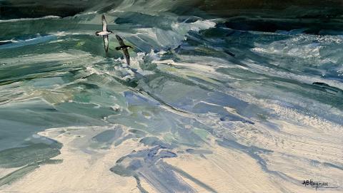 Manx Shearwaters.