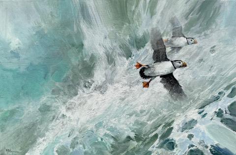 Puffins 8