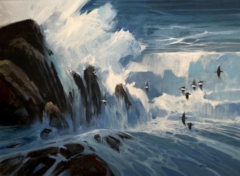 Puffins
