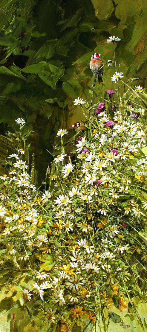Goldfinches & Oxeye Daisies